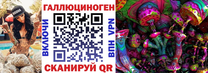 Псилоцибиновые грибы Psilocybine cubensis  купить   Йошкар-Ола 
