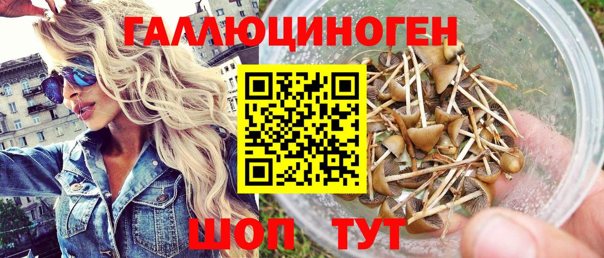 купить  цена  Вход с VPN  Йошкар-Ола  Псилоцибиновые грибы прущие грибы  Псилоцибиновые грибы мухоморы 