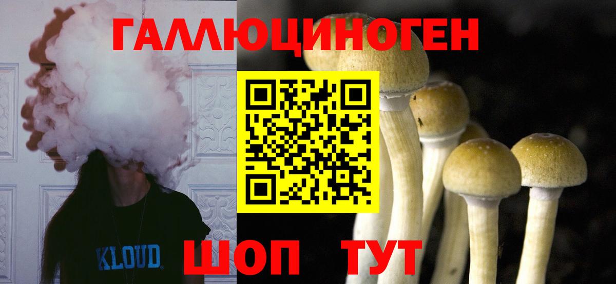 Галлюциногенные грибы Cubensis Йошкар-Ола